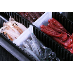 Caja Jackall 2300D W Open Tackle Box M